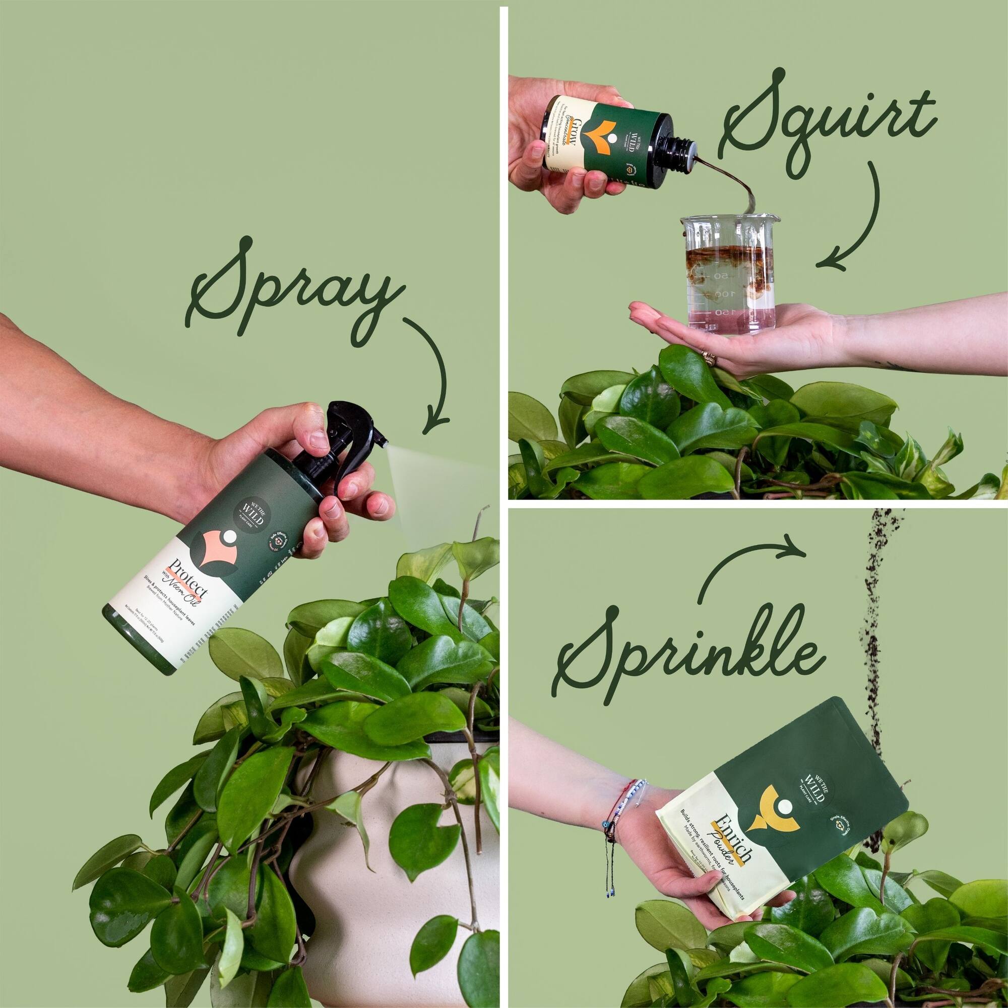 We The Wild™ Houseplant Essentials Kit Organic Easy 3-Step Care